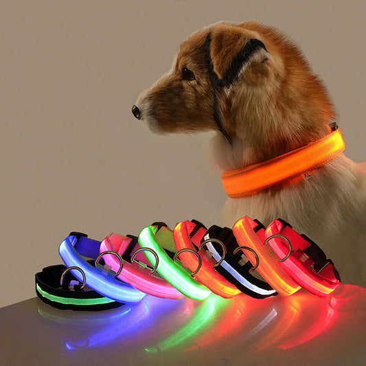 WaggyCo™ LED Dog Collar – Rechargeable, Adjustable & Visible at Night