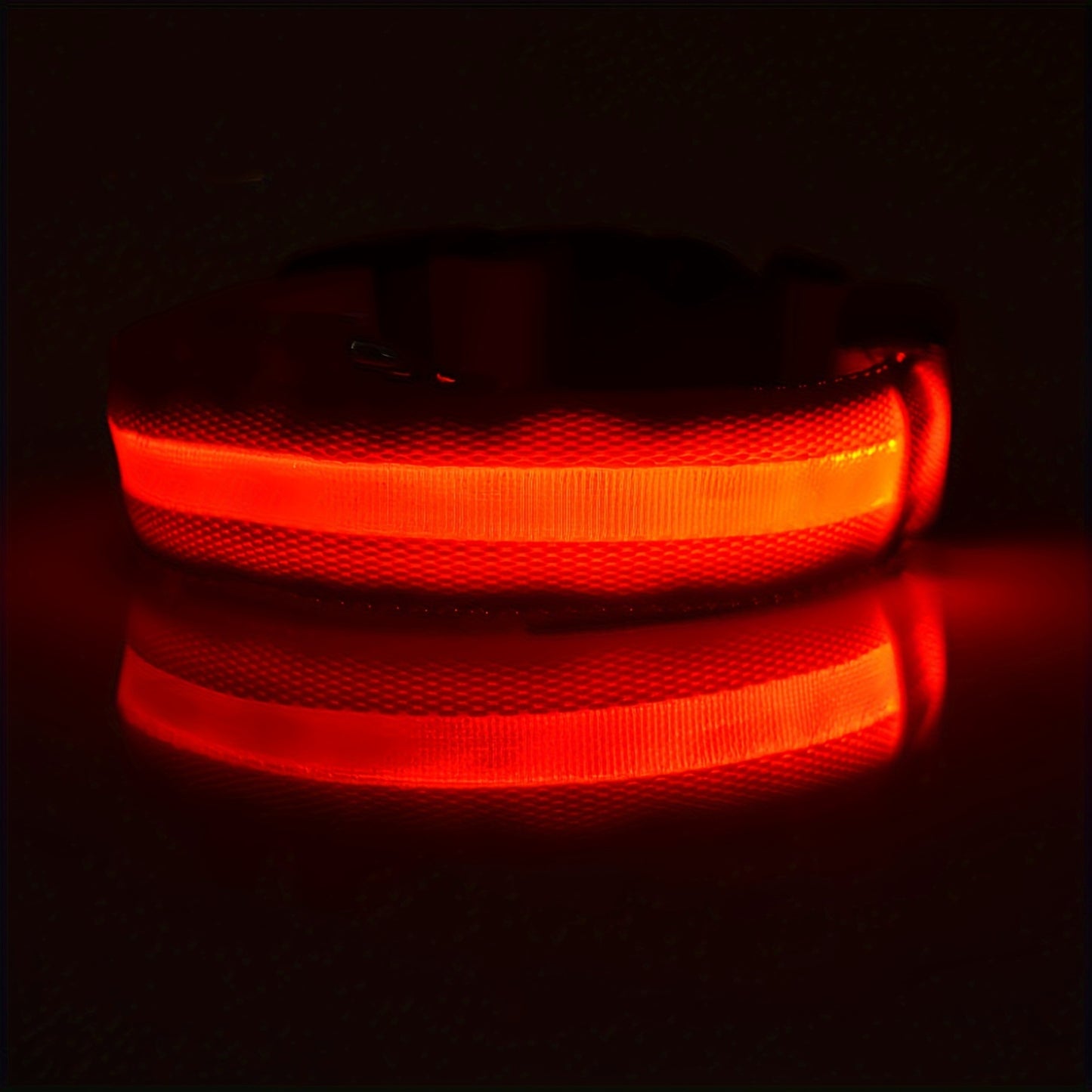 WaggyCo™ LED Dog Collar – Rechargeable, Adjustable & Visible at Night