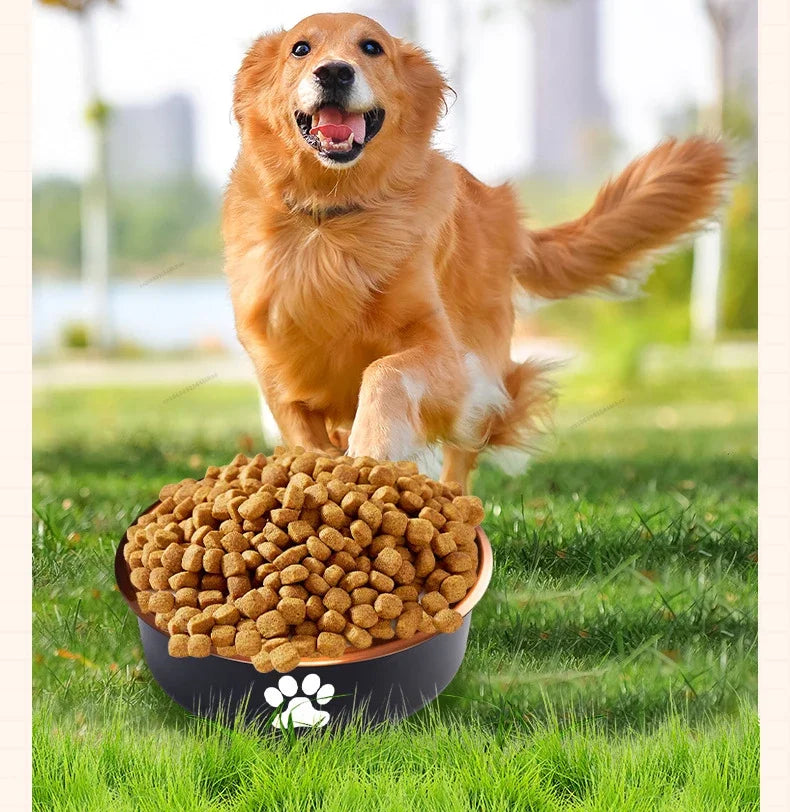 Non-slip Dog Bowls for Small Medium Large Dog Feeder Bowls and Drinkers Stainless Steel Pet Feeders Pets Dogs Accessories