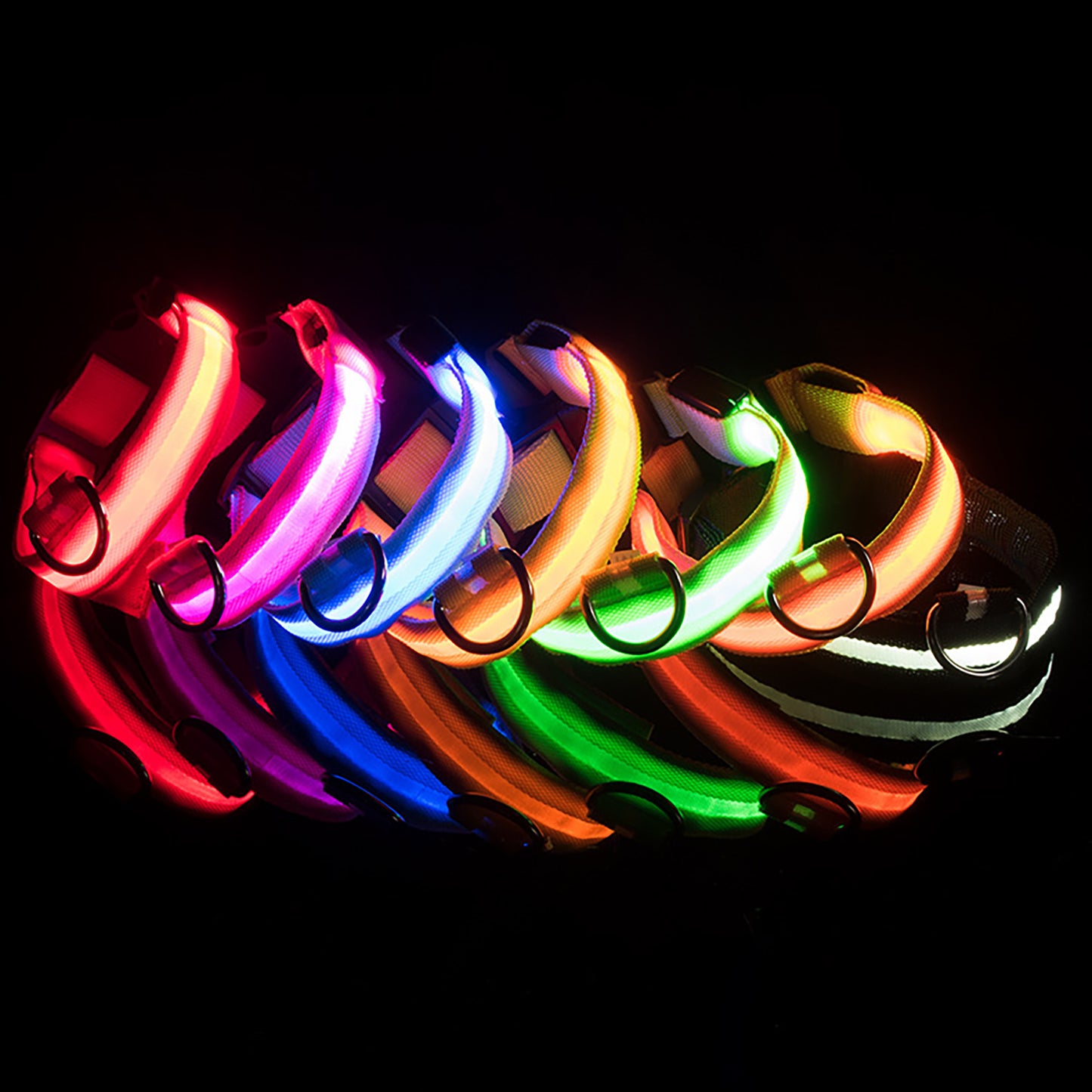WaggyCo™ LED Dog Collar – Rechargeable, Adjustable & Visible at Night